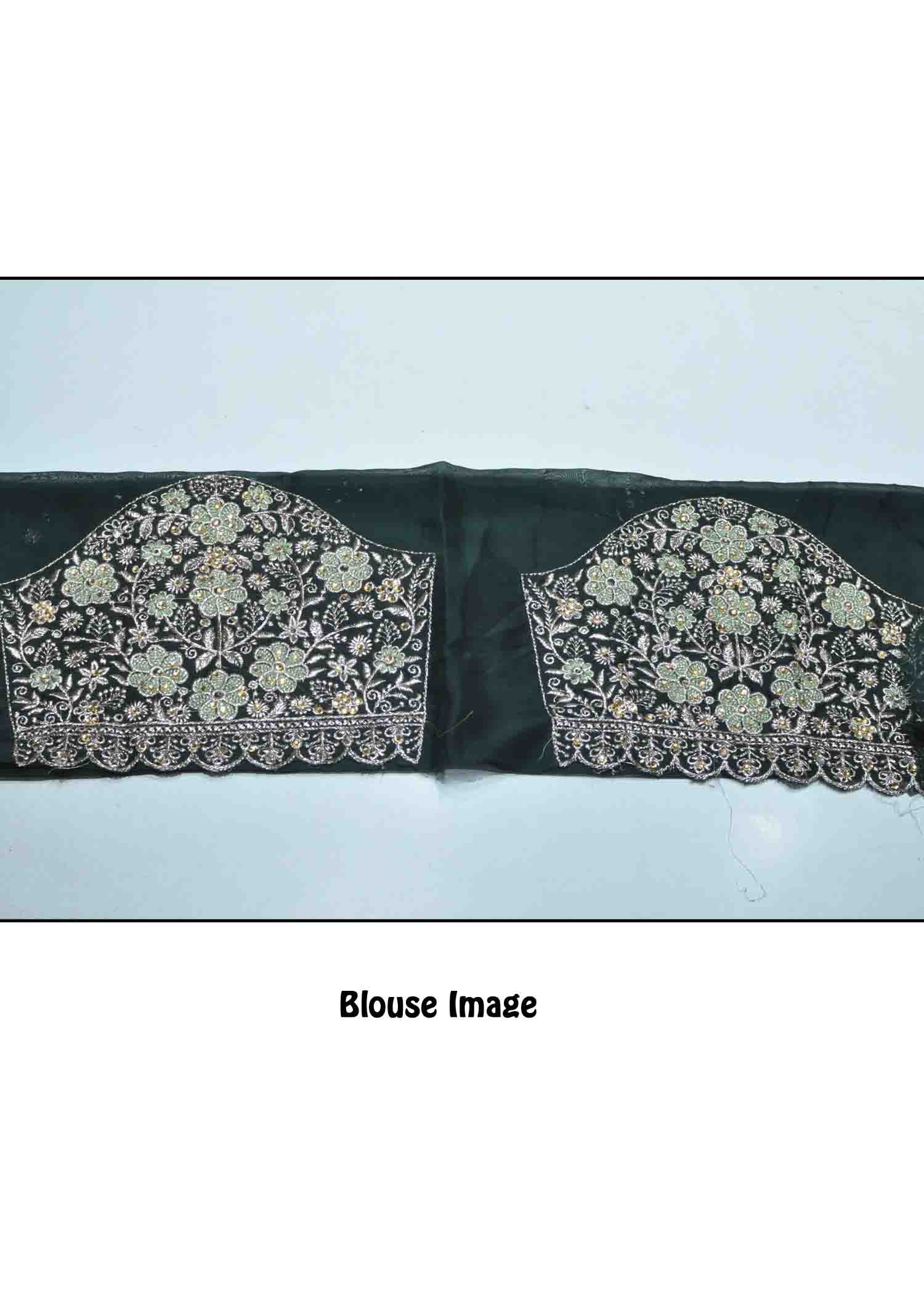 Devika - 10216-D BasilGreen Color Crushed Satin Saree CM1303918 (LR8C)