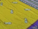 Lalitha-  08718-B  Lemonyellow  Color Excellent  Dola Silk  Saree CM1452520 (RR3C)