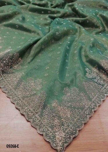 Divya -09268-E  Green Color Stone Work Netted Saree CM1477139 (RR1B)