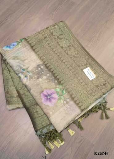 Lalitha -10257-H  LightGreen Color Traditional Chanderi Silk Saree CM1489286 (LR3E)